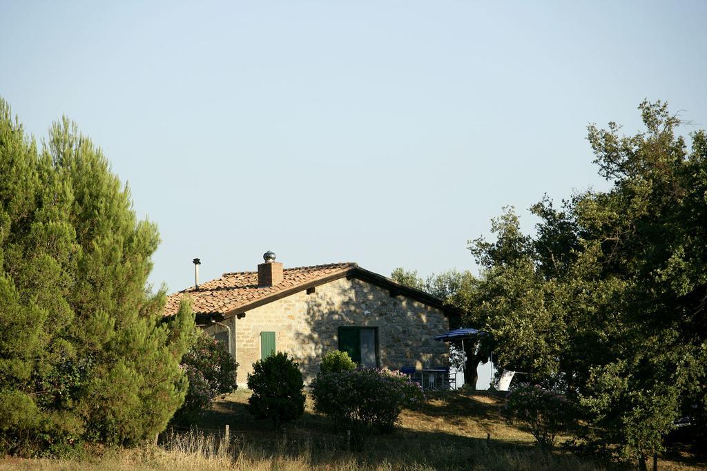 Fattoria Poggio Foco Villa Manciano Habitación foto
