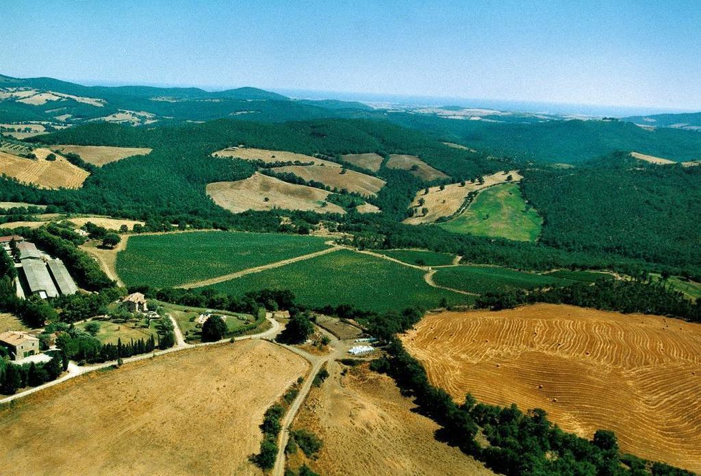 Fattoria Poggio Foco Villa Manciano Exterior foto