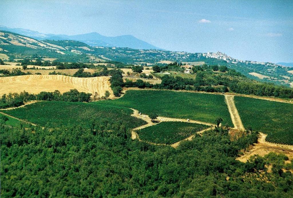 Fattoria Poggio Foco Villa Manciano Exterior foto