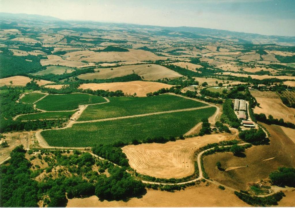 Fattoria Poggio Foco Villa Manciano Exterior foto