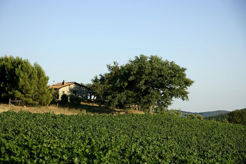 Fattoria Poggio Foco Villa Manciano Habitación foto